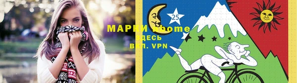 индика Алексин