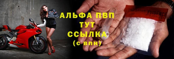 индика Алексин