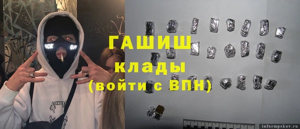 индика Алексин