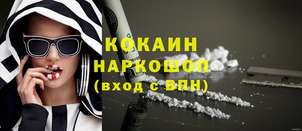 индика Алексин