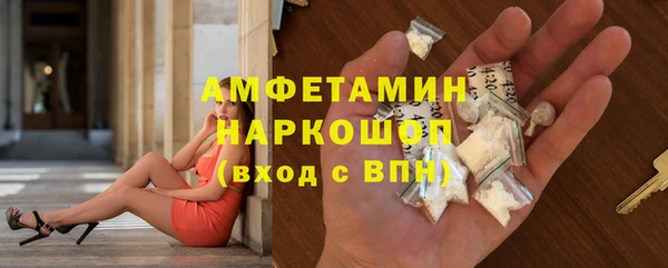 индика Алексин