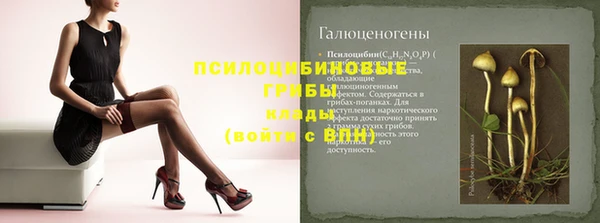 ешки Алексеевка