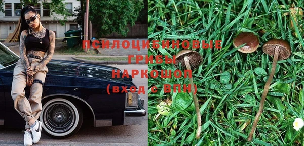 шишки Алзамай