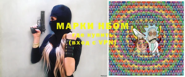 шишки Алзамай