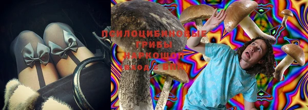 индика Алексин