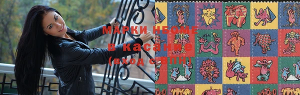 шишки Алзамай