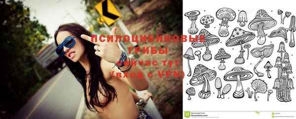 индика Алексин