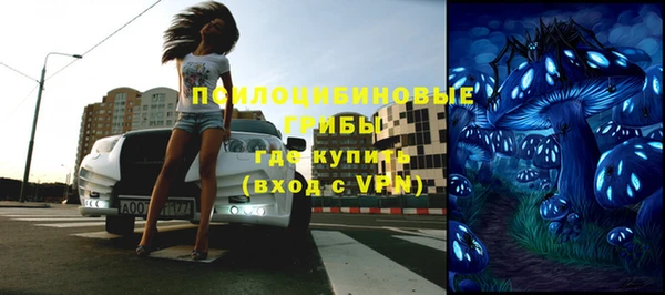 индика Алексин