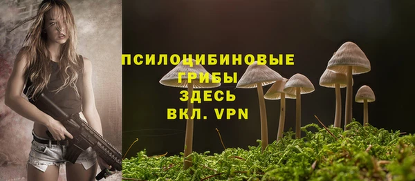 шишки Алзамай